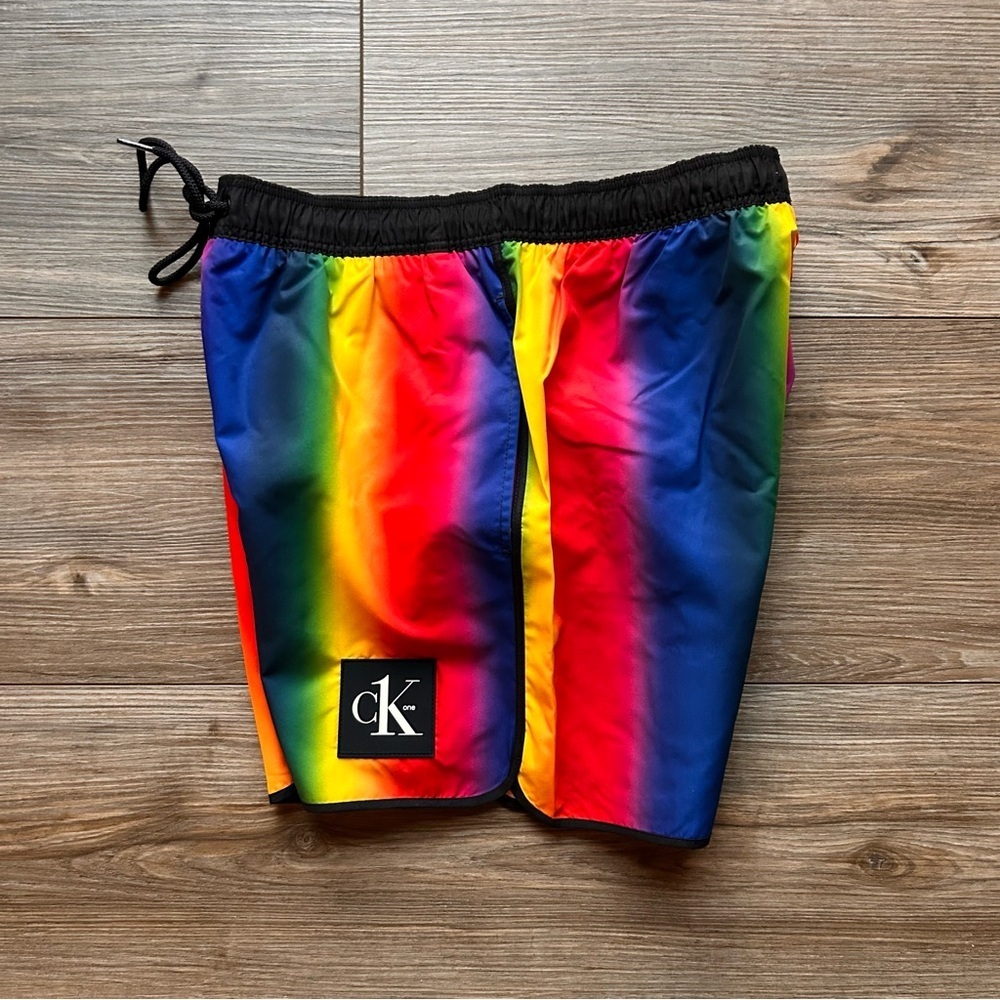 Calvin Klein | Festival Swim Shorts in Silver Cloud Aluminum Rainbow (Small) - Picture 8 of 8